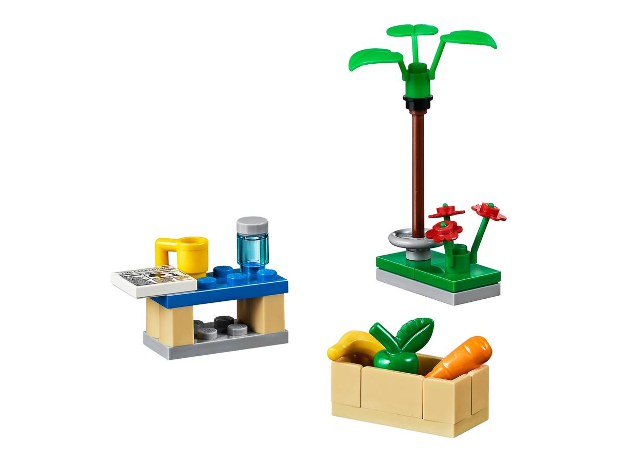 LEGO Build My City Accesory Set (40170)