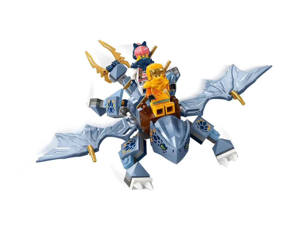 LEGO Ninjago Young Dragon Riyu Set (71810)